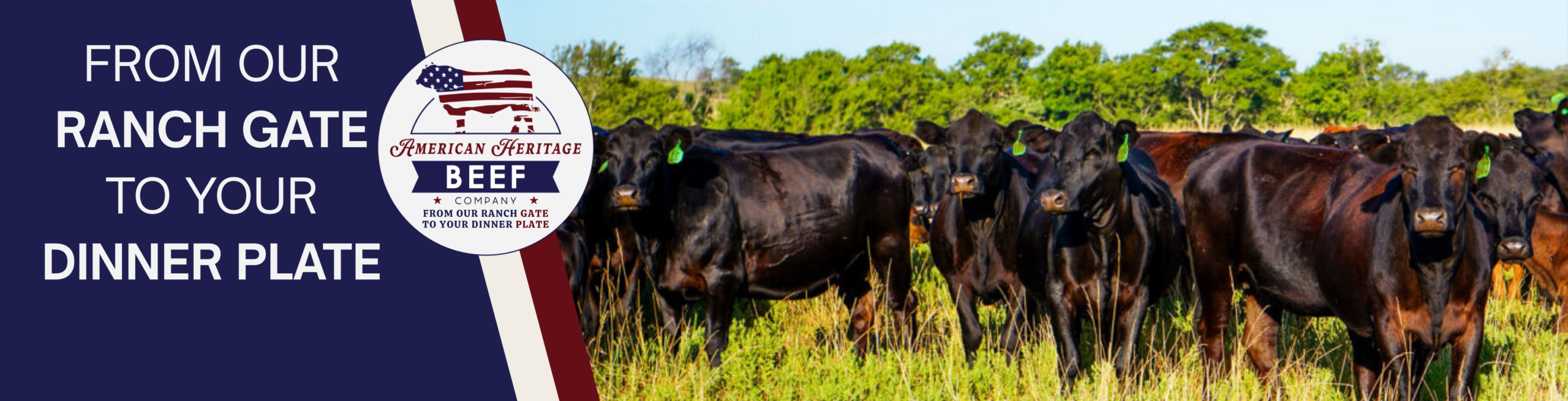 NEW AMERICAN HERITAGE BEEF HEADER - FEATURING STEER